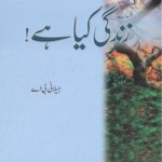 Zindagi Kia Ha